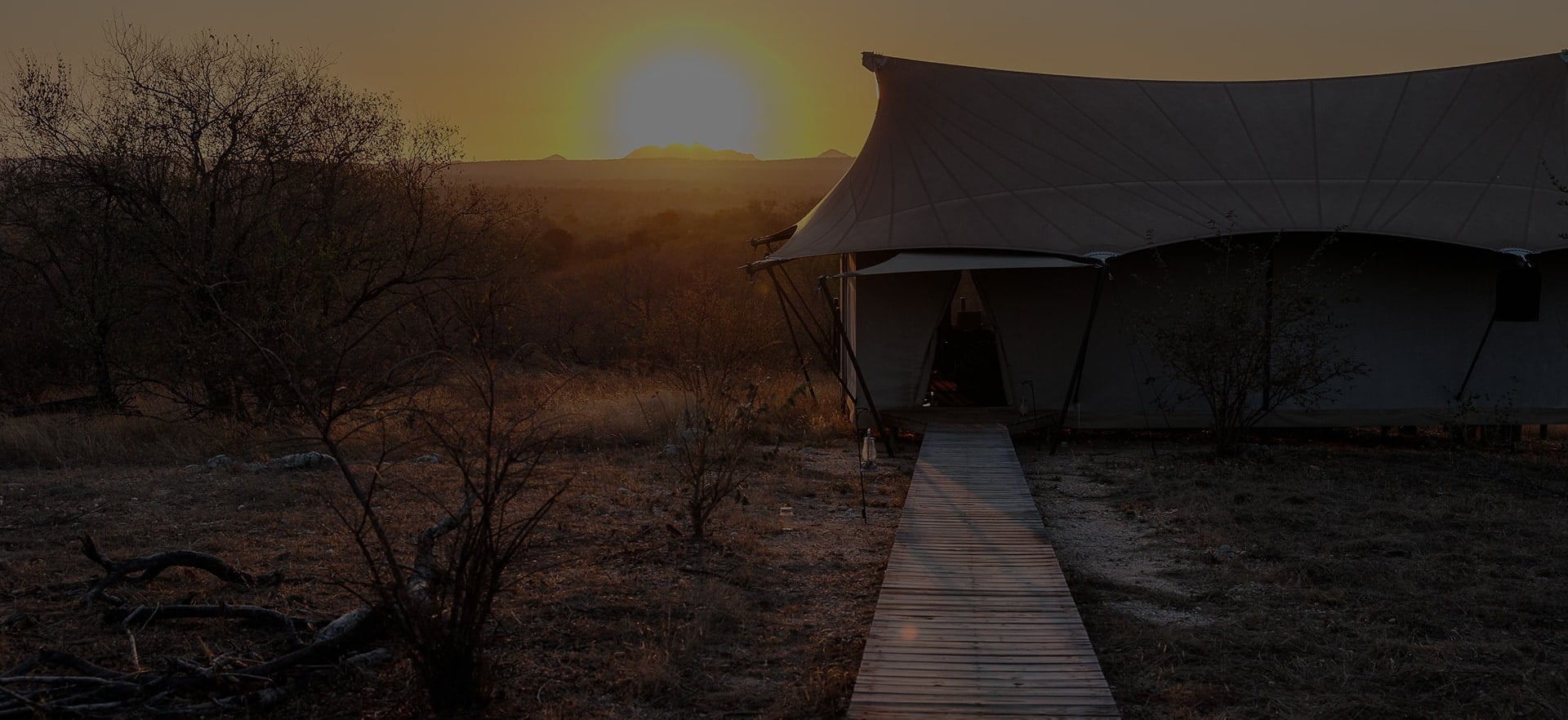 Which Camp is Right for You?