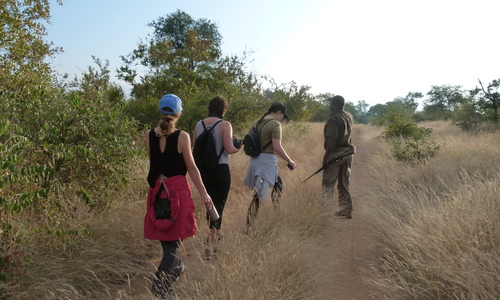 Walking Safari