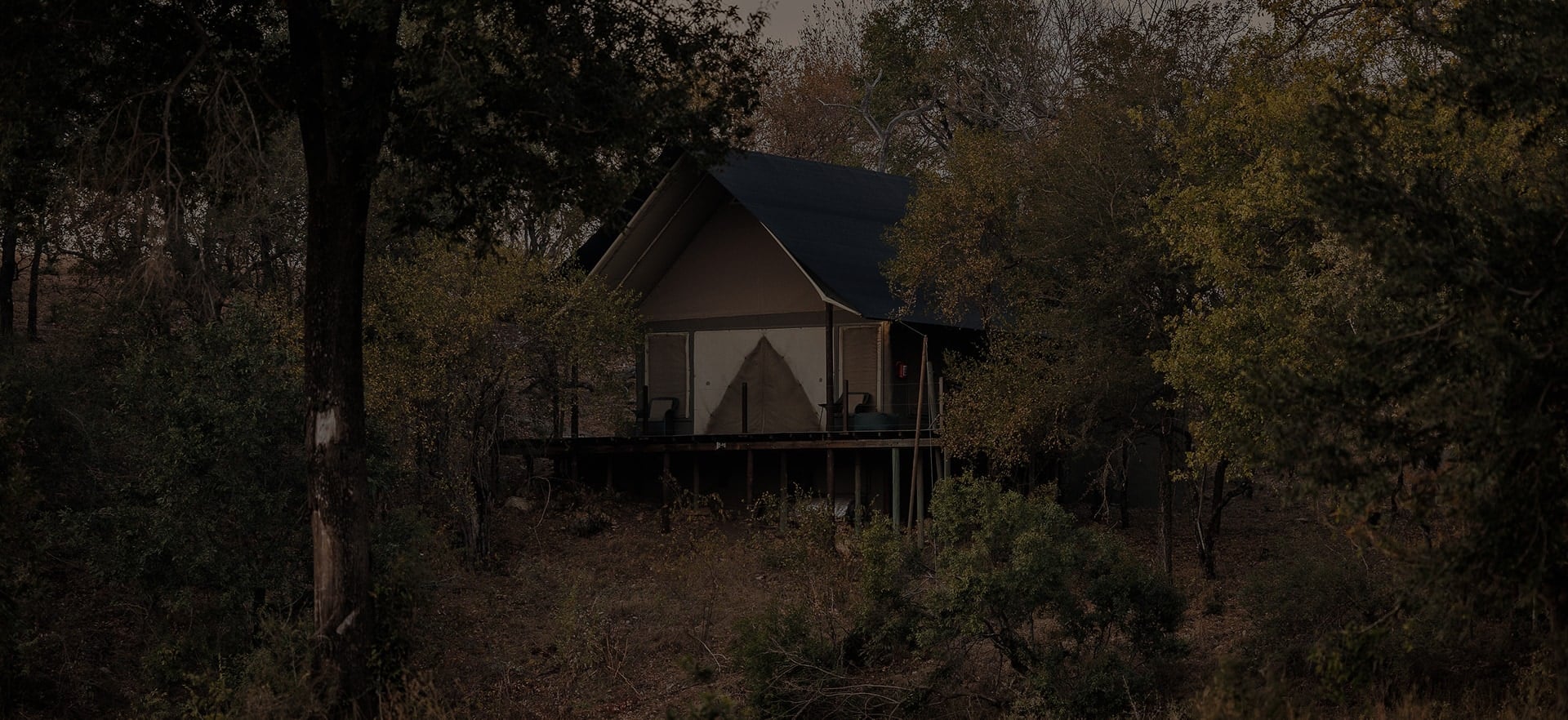 Ready to Experience<br> the Safari Camp?
