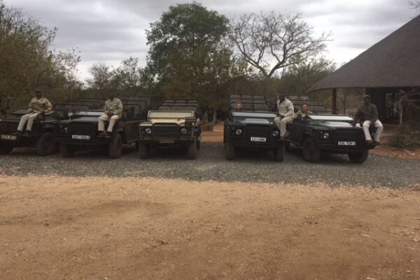 Behind the Scenes: Meet the Safari Guide Team