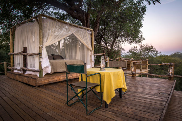Makalali Private Nature Reserve, Big 5 Safari, Garonga Safari Camp, Greater Makalali Private Game Reserve, South Africa safari, Luxury Safari Camp, Safari accommodation