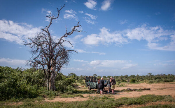 Makalali Private Nature Reserve, Big 5 Safari, Garonga Safari Camp, Greater Makalali Private Game Reserve, South Africa safari, Luxury Safari Camp, Safari accommodation