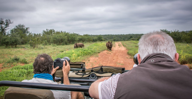 Makalali Private Nature Reserve, Big 5 Safari, Garonga Safari Camp, Greater Makalali Private Game Reserve, South Africa safari, Luxury Safari Camp, Safari accommodation