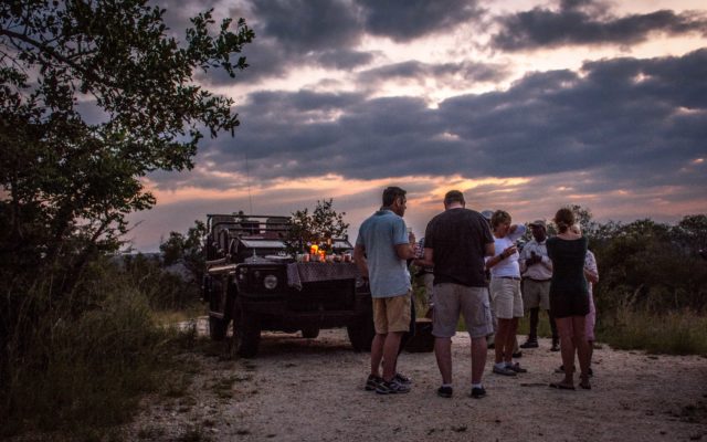 Makalali Private Nature Reserve, Big 5 Safari, Garonga Safari Camp, Greater Makalali Private Game Reserve, South Africa safari, Luxury Safari Camp, Safari accommodation