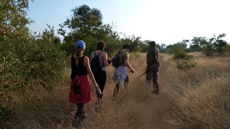 Garonga, Safari Camp, Walking Safari, Africa Safari, Big 5 Safari
