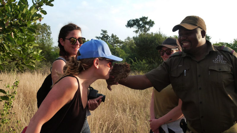 Garonga, Safari Camp, Walking Safari, Africa Safari, Big 5 Safari