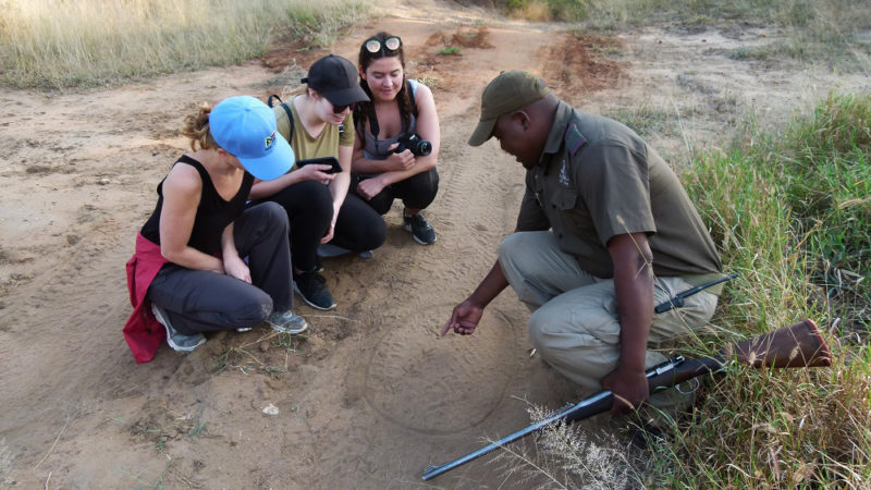 Garonga, Safari Camp, Walking Safari, Africa Safari, Big 5 Safari