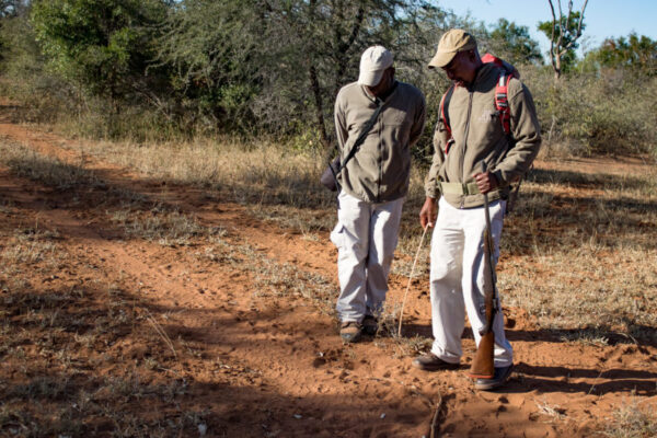 Bush walk Walk, Garonga Safari Camp, Bush walk, tracks