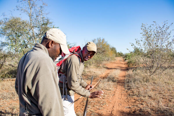 Walk Walk, Garonga Safari Camp, Bush walk, tracks