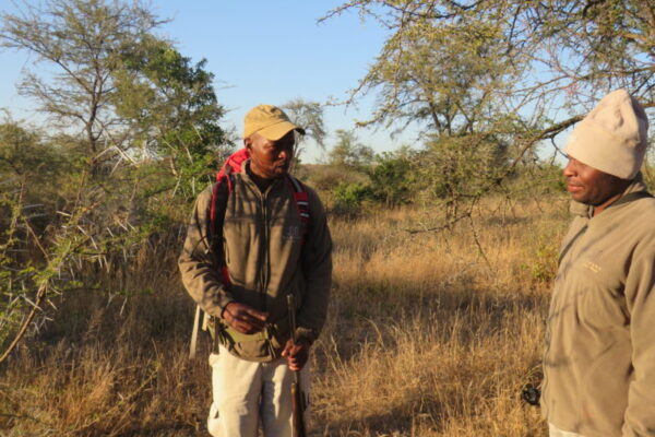 Bush Walk Walk, Garonga Safari Camp, Bush walk, tracks