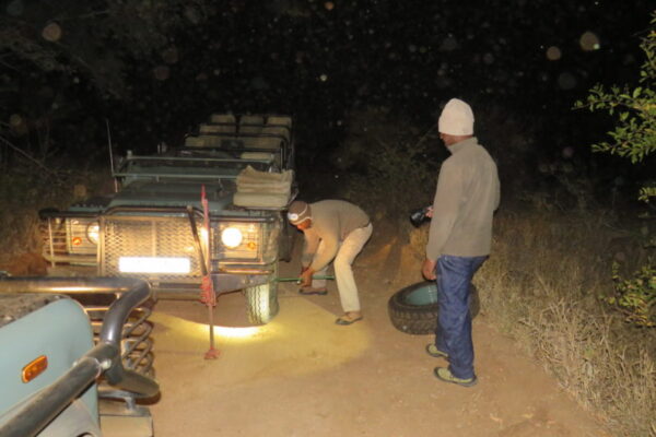 IMG_5522 Midnight Adventure, Tyre Change, Luxury Safari, Rescue Mission