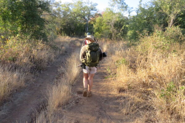 IMG_5553 Bush Walk, Luxury Safari, Walk on the Wildside
