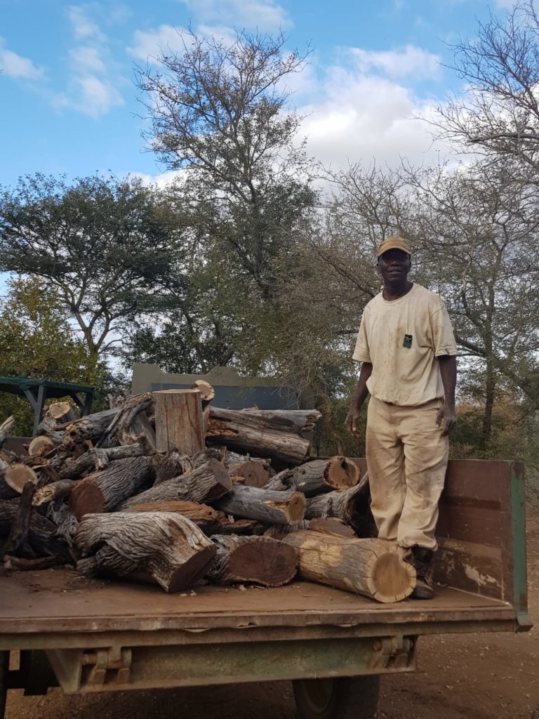 Fixon collects wood for the staff village