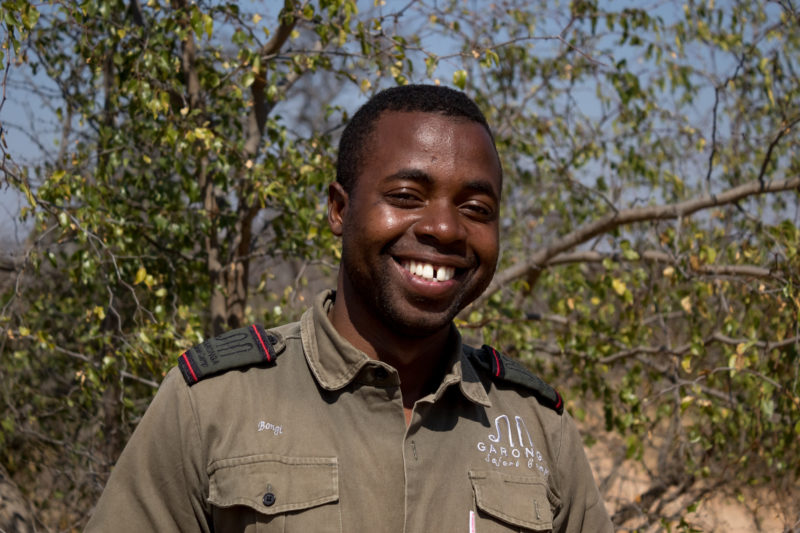 The Garonga Diaries: Hear all about tracking Lions from Bongi!