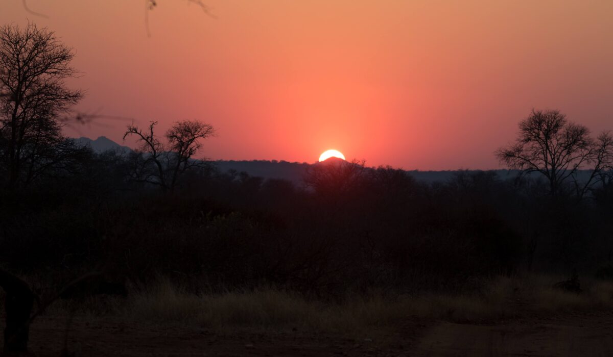 Sunset in the Makalali