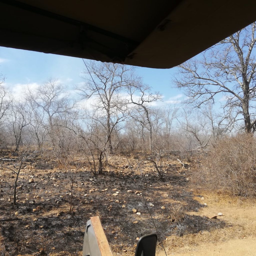 Fire in the Makalali Conservancy