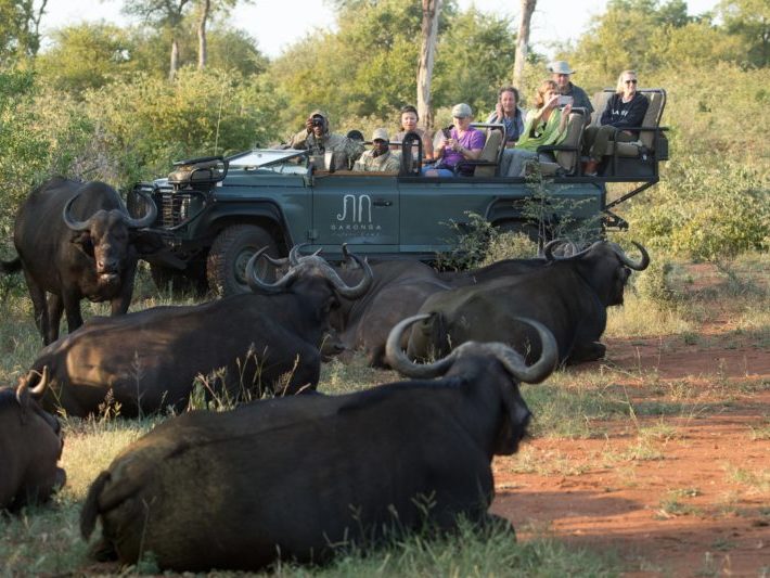 20200201-003A1022 Big 5 Safari
