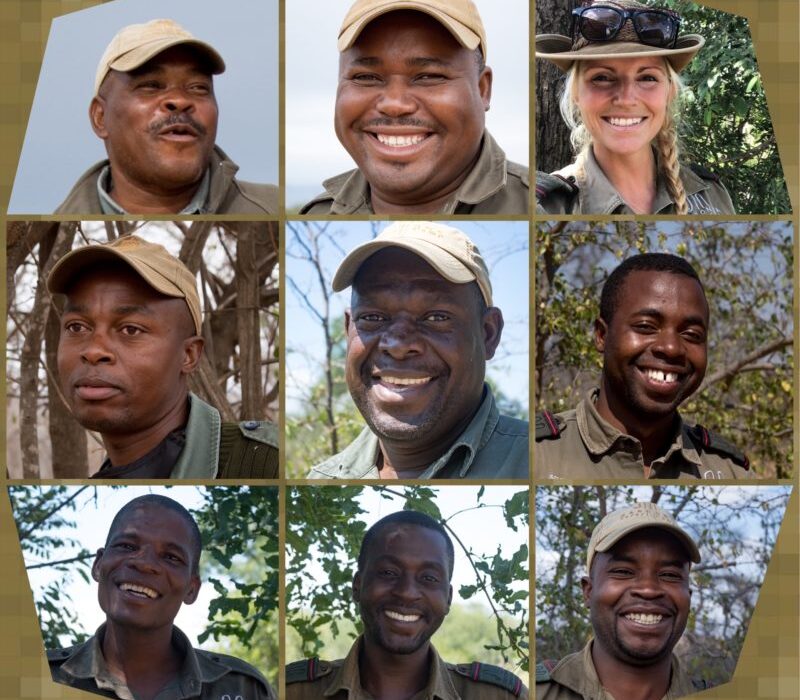 Safari Camp Stories: Reflections on the Year Behind Us!