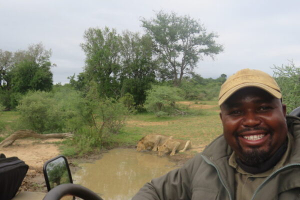Garonga, Lions, Safari