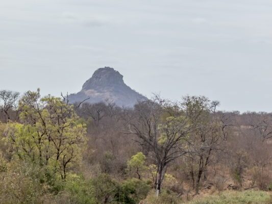 Garonga’s Green Initiatives!