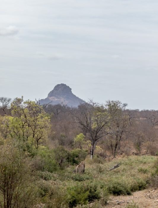 Garonga’s Green Initiatives!